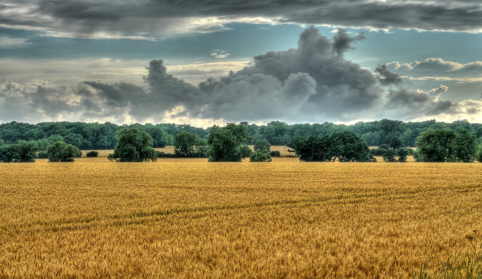 P1140496_0_1_2_3_4_5_tonemapped.jpg