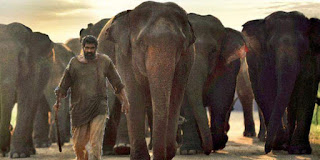 hathi-mere-sathi-release-in-march