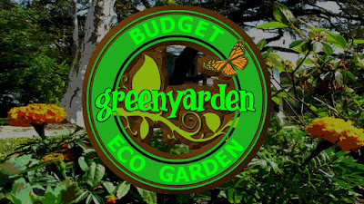 organic eco garden
