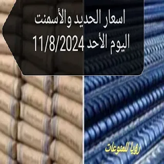 اسعار الحديد والأسمنت اليوم في الأسواق الأحد 11/8/2024