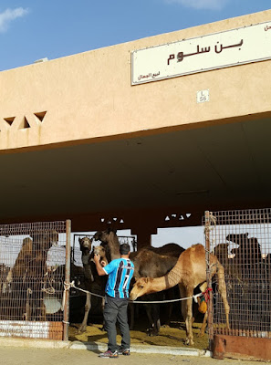 Mercado de Camelos Al Ain