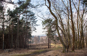 Old Lodge Nature Reserve, Ashdown Forest.  22 February 2018