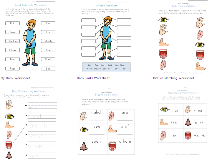 WORKSHEET GRATIS BELAJAR BAHASA INGGRIS TENTANG ANGGOTA 