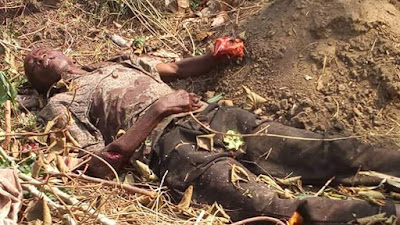  Graphic Photos: Elderly farmer hacked to death by suspected herdsmen in Oyo State