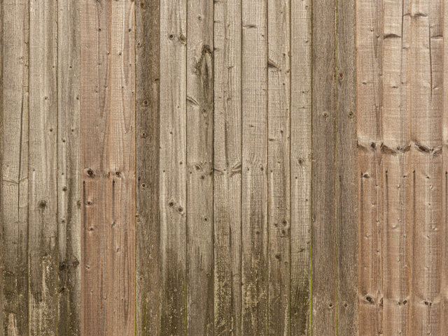 Wood panels grainy texture