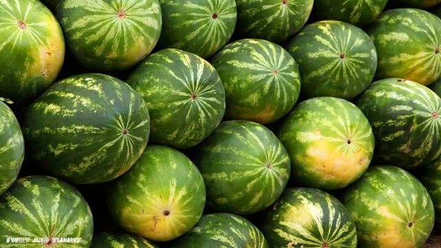 10 فوائد لا تتوقعها لقشر البطيخ ... وطريقه تناوله؟