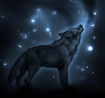 wolf wallpaper. Anime Wolf Wallpaper. black