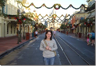 Walt Disney World at Christmas (12)