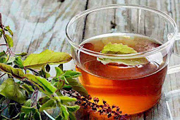 Immunity Booster Drink : घर में आसानी से बनाएं ये तुलसी काढ़ा, इम्युनिटी बढ़ाने में मिलेगी मदद