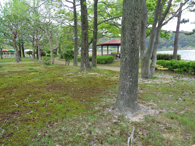 東郷湖羽合臨海公園浅津公園