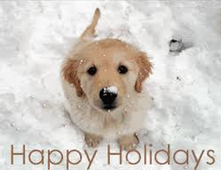 New Year Holiday Wish Puppy Wallpaper