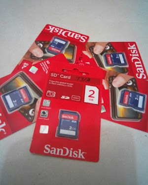 SD Card Sandisk 2gb Original