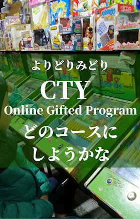 【CTYやってみた①コースの選択】サマープログラムとオンラインコース