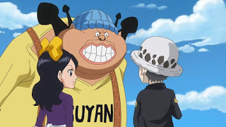 One Piece キャラクター幼少期まとめ Characters As Kids