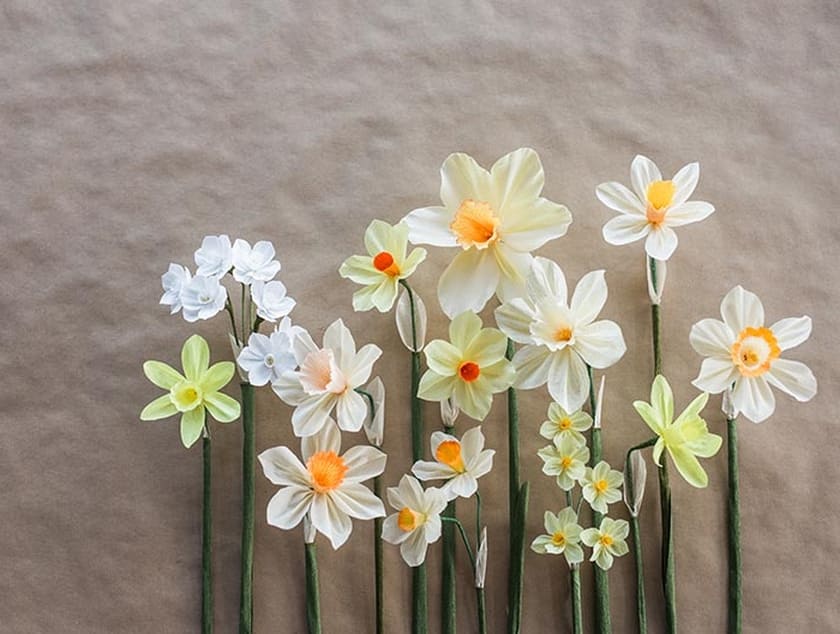 DIY Paper Daffodil Tutorial