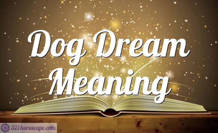 To see Dog in Dream Meaning in islamic point of view,To see Dog in Dream, Dog in Dream Meaning,Dream meaning,D,