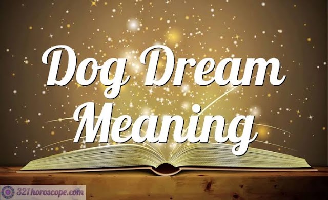 To see Dog in Dream Meaning in islamic point of view