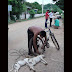 Circulan fotos de asesino de animales en Kancab