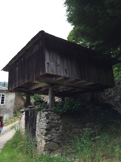 Spain, Marronda forest and the Eo River   by E.V.Pita (2015)  http://evpita.blogspot.com/2015/06/spain-marronda-forest-and-eo-river.html   Fraga de Marronda - río Eo (Baleira, Lugo)  por E.V.Pita (2015)