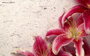 Wallpapers de Flores (flores )