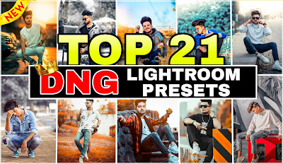 Lightroom 21 top dng presets download free