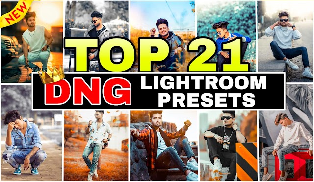 Lightroom 21 top dng presets download free