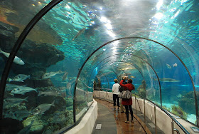Aquarium of Barcelona