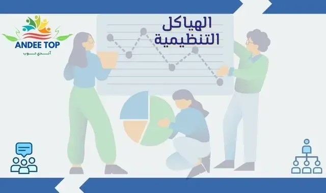 أنواع الهياكل التنظيمية