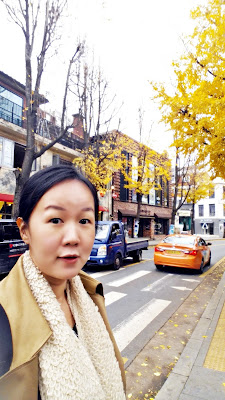 Beautiful Samcheongdong cafe street in Autumn | www.meheartseoul.blogspot.sg