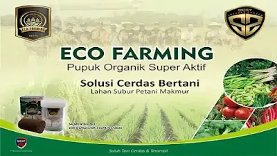 eco farming