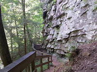 Cloudland Canyon Rock Wall Path