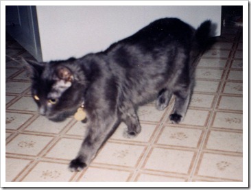 image0