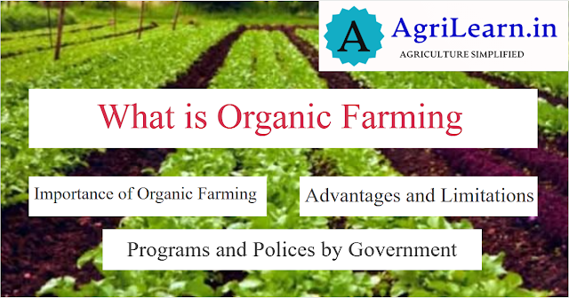 What is organic farming : Importance of Organic Farming In India