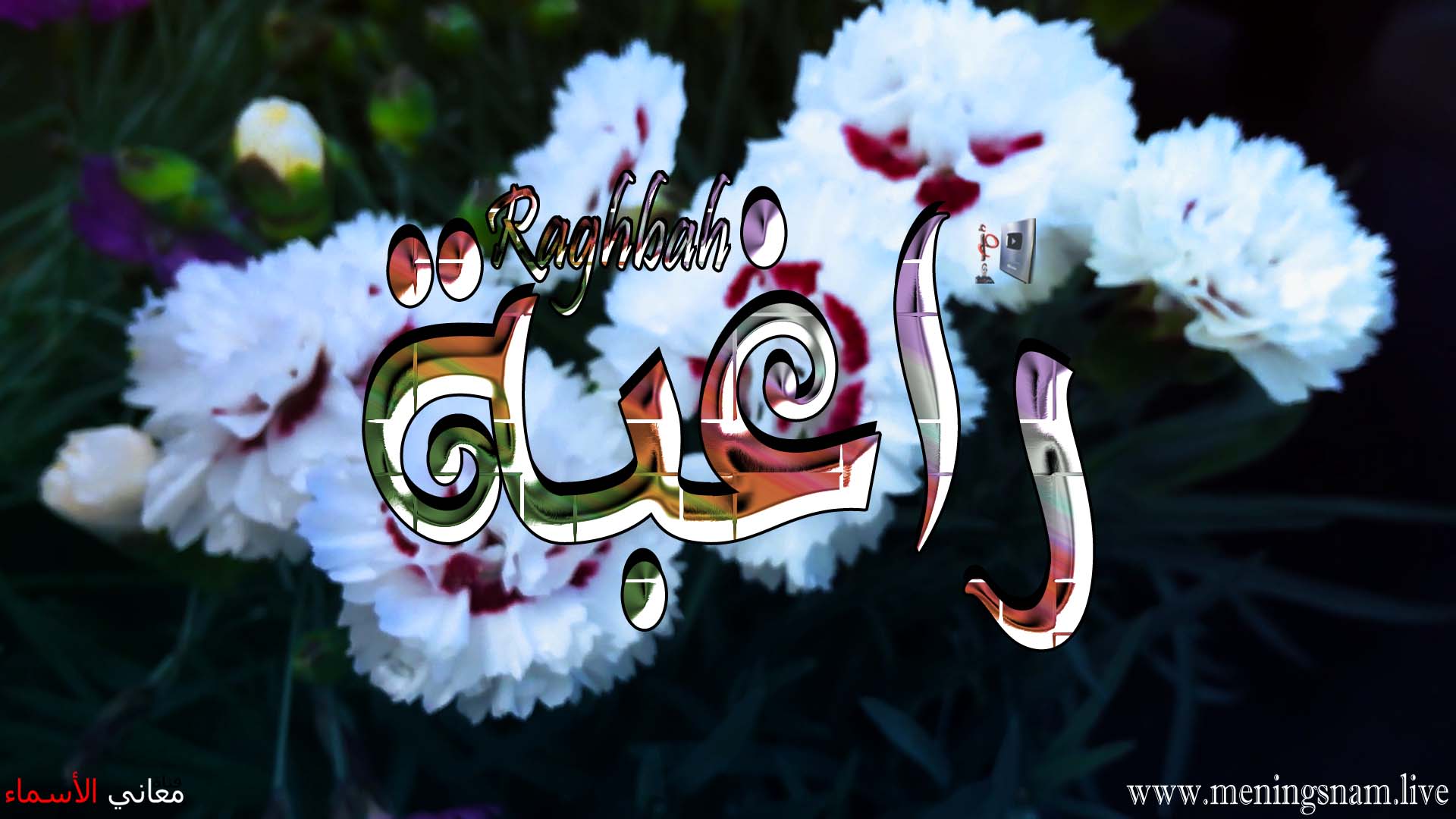 معنى اسم, راغبة, وصفات, حاملة, هذا الاسم, Raghbh,