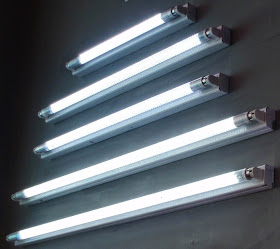 The fluorescent lamps