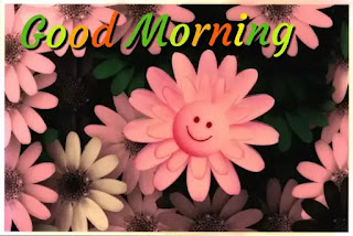 Good morning smiley images