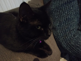 Una gata negra reposa cómodamente en un sofá gris. Mira de reojo a cámara. Es Remilia, la gata de Sariel y Lia