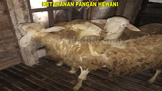 Ketahanan Pangan Hewani