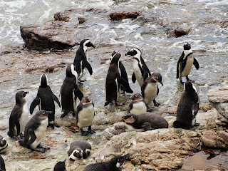 Sudafrica Betty's Bay