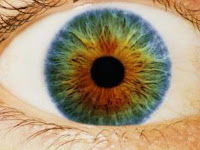 Existen Los Ojos Color Negro En Humanos