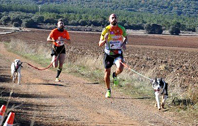 Canicross Mushing Aranjuez