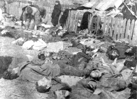 Poland Ukraine Volhynia massacre Banderites genocide crime