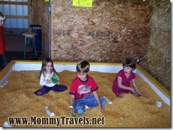 Leapolds Farm Pumpkin Patch corn box