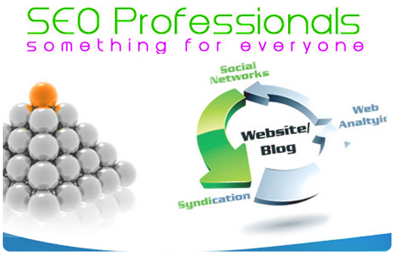 SEO Professional Do Something for you