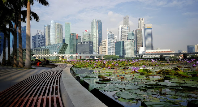 Why You Should Take Some Time to Unwind In Singapore