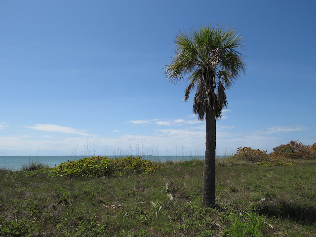 Fort De Soto Park, Florida