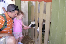 The petting Zoo at the Renaissance Festival