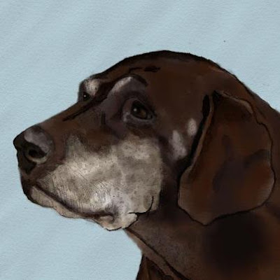 Brown, Labrador Dog, Canine, Pet, Pet Portrait, Digital, Watercolour, Painting