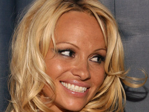 I decided to go with just a close up of Pam Anderson for this story