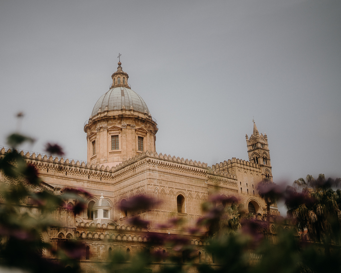 Cattedrale di Palermo, Cathedral Views liquid grain